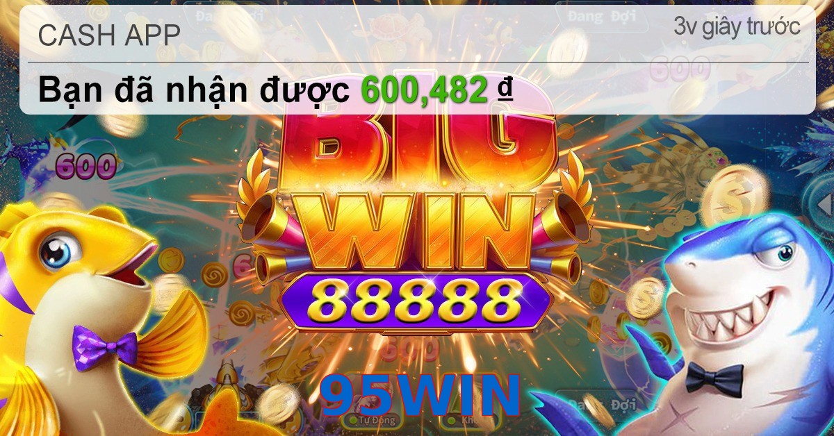 95WIN